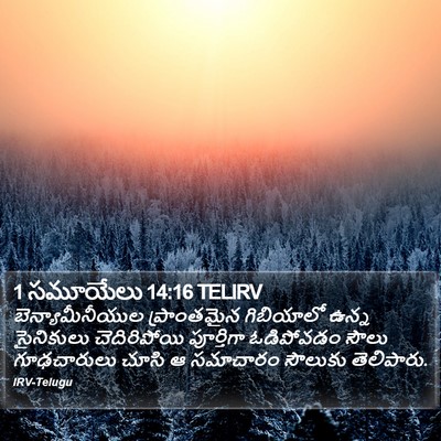 1 సమూయేలు 14:16 TELIRV Bible Verse Image