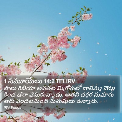 1 సమూయేలు 14:2 TELIRV Bible Verse Image