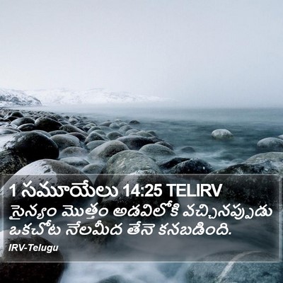 1 సమూయేలు 14:25 TELIRV Bible Verse Image