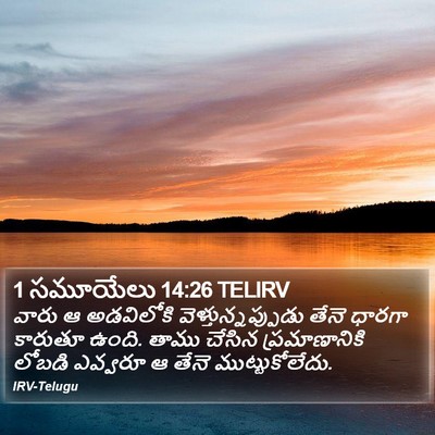 1 సమూయేలు 14:26 TELIRV Bible Verse Image