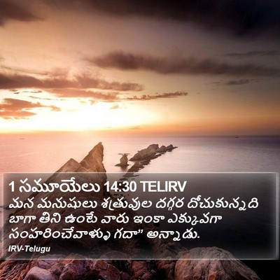 1 సమూయేలు 14:30 TELIRV Bible Verse Image