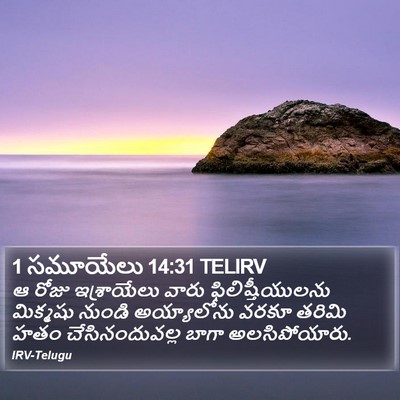 1 సమూయేలు 14:31 TELIRV Bible Verse Image