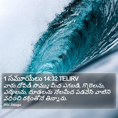 1 సమూయేలు 14:32 TELIRV Bible Verse Image
