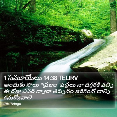 1 సమూయేలు 14:38 TELIRV Bible Verse Image