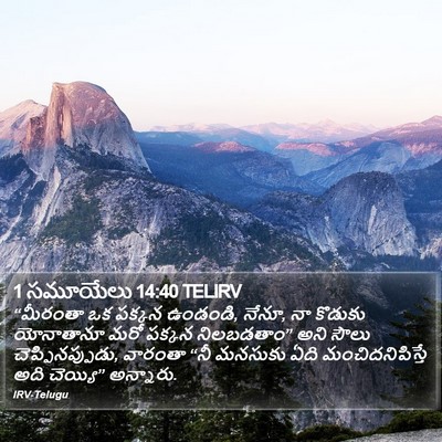 1 సమూయేలు 14:40 TELIRV Bible Verse Image