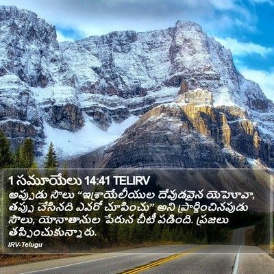 1 సమూయేలు 14:41 TELIRV Bible Verse Image