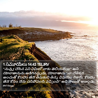 1 సమూయేలు 14:43 TELIRV Bible Verse Image
