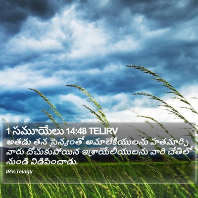 1 సమూయేలు 14:48 TELIRV Bible Verse Image