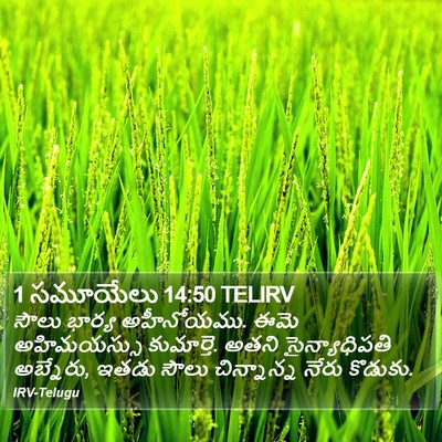 1 సమూయేలు 14:50 TELIRV Bible Verse Image