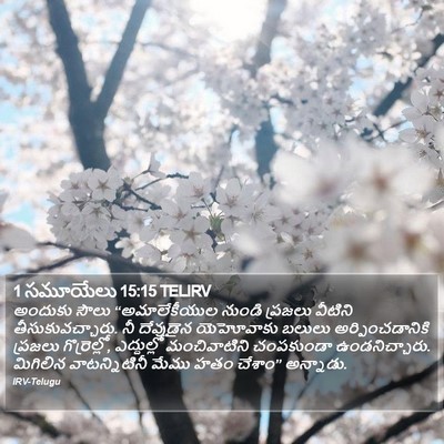 1 సమూయేలు 15:15 TELIRV Bible Verse Image