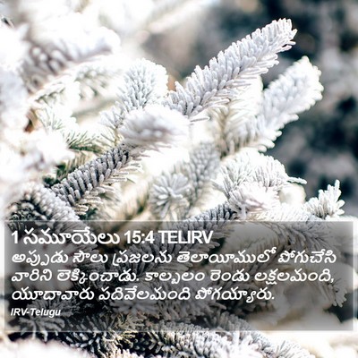 1 సమూయేలు 15:4 TELIRV Bible Verse Image