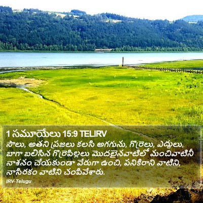 1 సమూయేలు 15:9 TELIRV Bible Verse Image