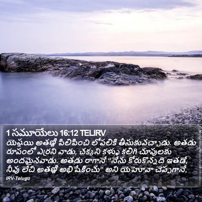 1 సమూయేలు 16:12 TELIRV Bible Verse Image
