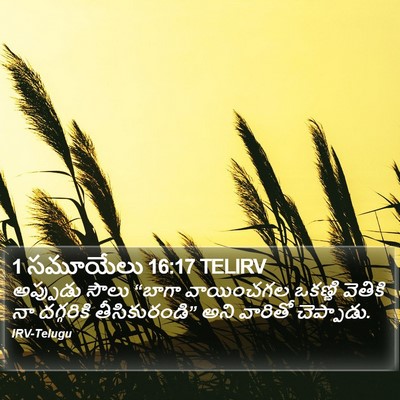 1 సమూయేలు 16:17 TELIRV Bible Verse Image