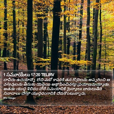 1 సమూయేలు 17:20 TELIRV Bible Verse Image