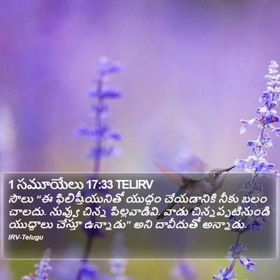 1 సమూయేలు 17:33 TELIRV Bible Verse Image