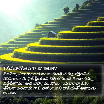 1 సమూయేలు 17:37 TELIRV Bible Verse Image