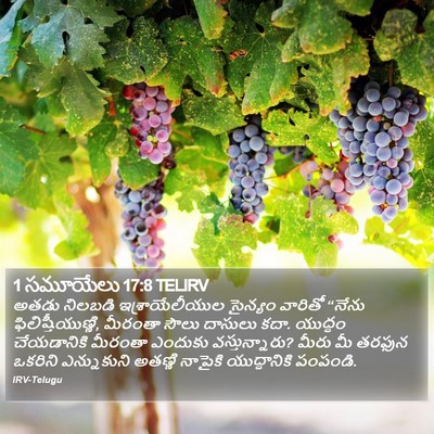 1 సమూయేలు 17:8 TELIRV Bible Verse Image