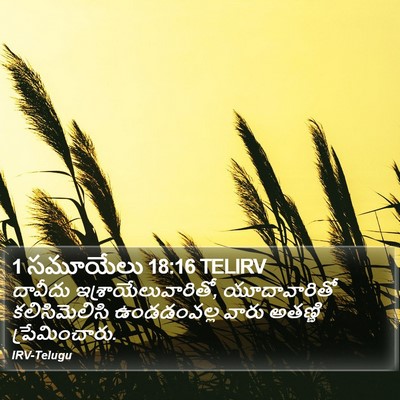 1 సమూయేలు 18:16 TELIRV Bible Verse Image