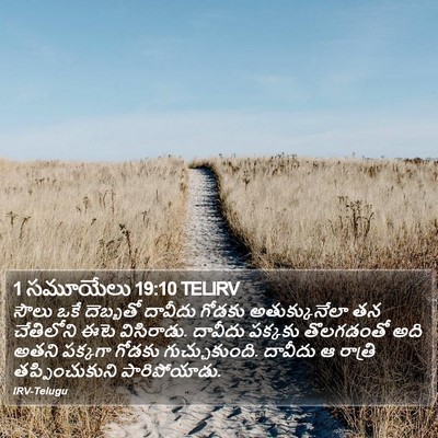 1 సమూయేలు 19:10 TELIRV Bible Verse Image