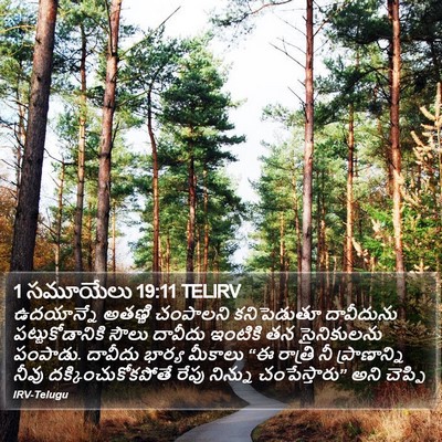 1 సమూయేలు 19:11 TELIRV Bible Verse Image