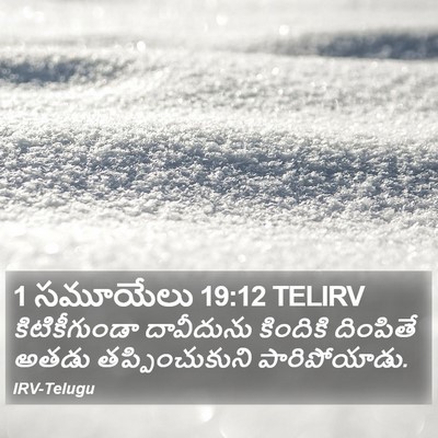 1 సమూయేలు 19:12 TELIRV Bible Verse Image