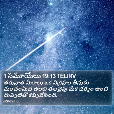 1 సమూయేలు 19:13 TELIRV Bible Verse Image