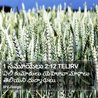 1 సమూయేలు 2:12 TELIRV Bible Verse Image