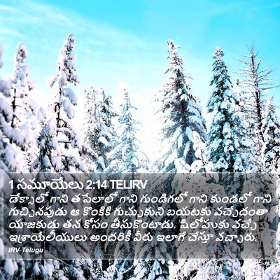 1 సమూయేలు 2:14 TELIRV Bible Verse Image