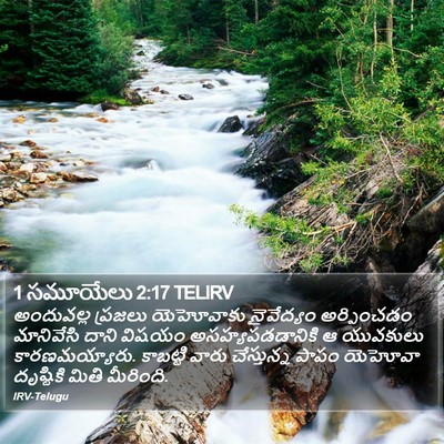 1 సమూయేలు 2:17 TELIRV Bible Verse Image