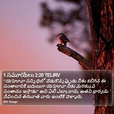 1 సమూయేలు 2:20 TELIRV Bible Verse Image