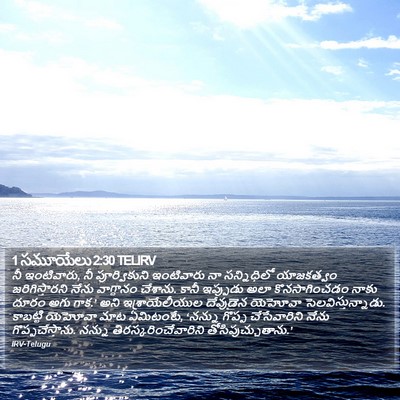 1 సమూయేలు 2:30 TELIRV Bible Verse Image
