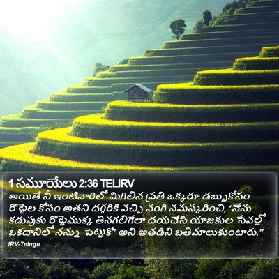 1 సమూయేలు 2:36 TELIRV Bible Verse Image