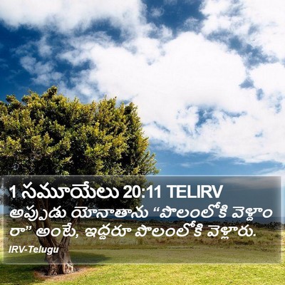 1 సమూయేలు 20:11 TELIRV Bible Verse Image