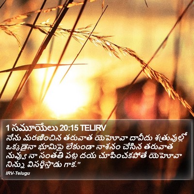 1 సమూయేలు 20:15 TELIRV Bible Verse Image