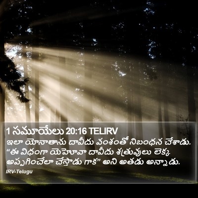 1 సమూయేలు 20:16 TELIRV Bible Verse Image