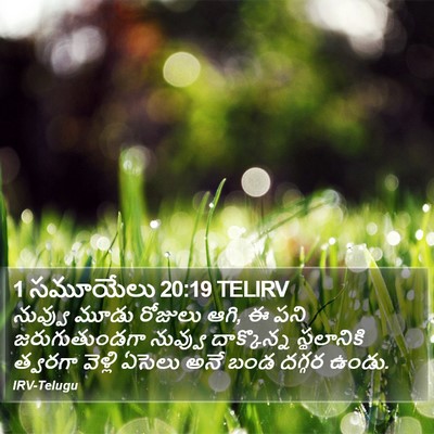 1 సమూయేలు 20:19 TELIRV Bible Verse Image