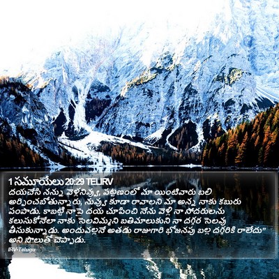 1 సమూయేలు 20:29 TELIRV Bible Verse Image