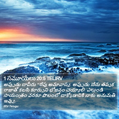 1 సమూయేలు 20:5 TELIRV Bible Verse Image