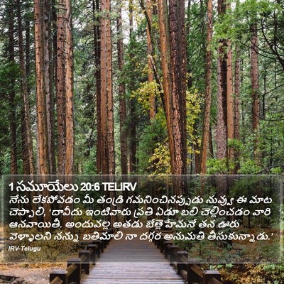 1 సమూయేలు 20:6 TELIRV Bible Verse Image