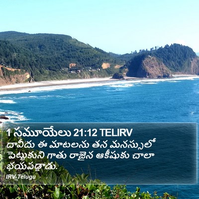 1 సమూయేలు 21:12 TELIRV Bible Verse Image