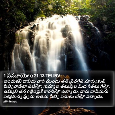 1 సమూయేలు 21:13 TELIRV Bible Verse Image