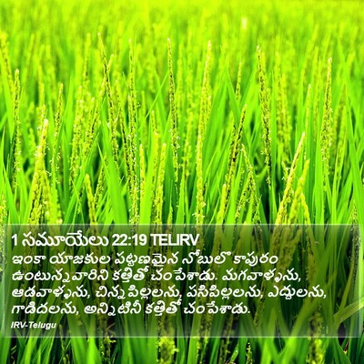 1 సమూయేలు 22:19 TELIRV Bible Verse Image