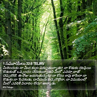 1 సమూయేలు 22:8 TELIRV Bible Verse Image