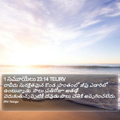 1 సమూయేలు 23:14 TELIRV Bible Verse Image