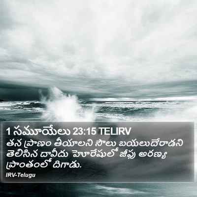 1 సమూయేలు 23:15 TELIRV Bible Verse Image