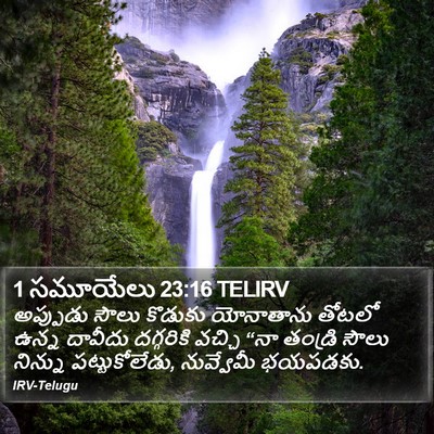 1 సమూయేలు 23:16 TELIRV Bible Verse Image