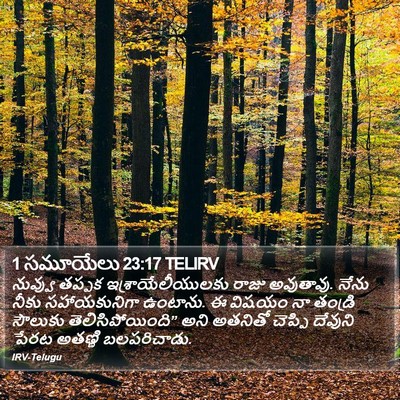 1 సమూయేలు 23:17 TELIRV Bible Verse Image