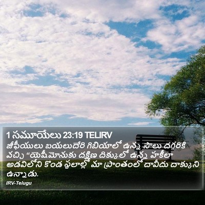 1 సమూయేలు 23:19 TELIRV Bible Verse Image