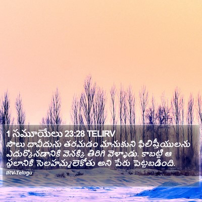 1 సమూయేలు 23:28 TELIRV Bible Verse Image